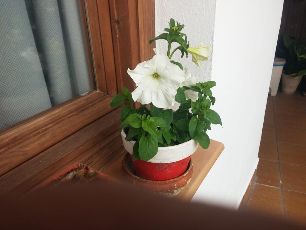 Balcon Del Velillos-"Rincon De Marcelo" Tozar ภายนอก รูปภาพ