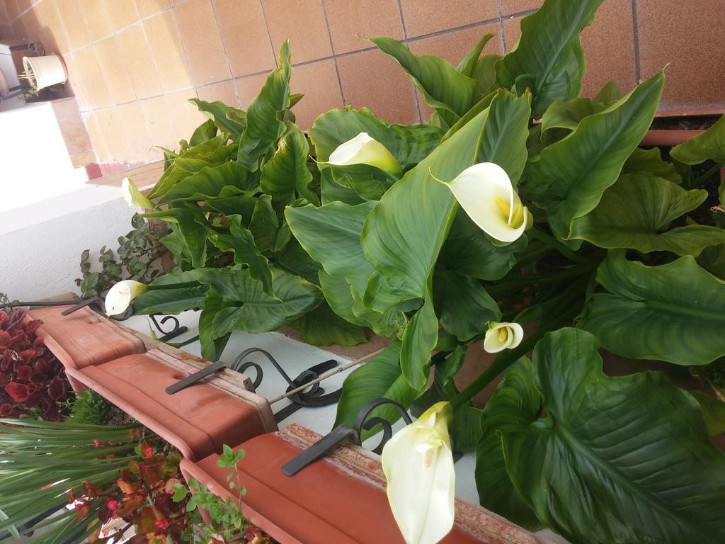 Balcon Del Velillos-"Rincon De Marcelo" Tozar ภายนอก รูปภาพ